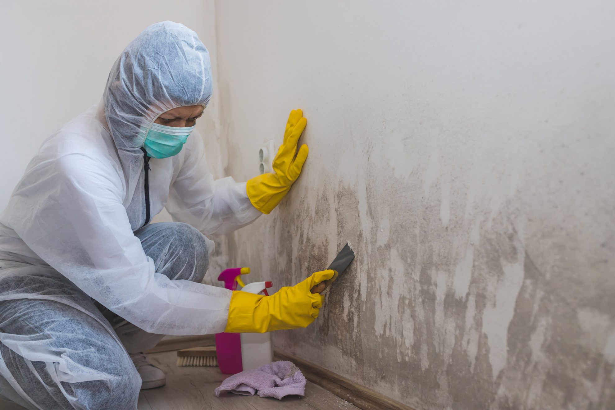 mould testing & inspections Sydney
