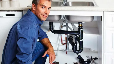 Plumber Bellavista